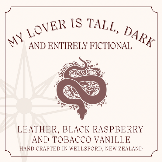 My Lover is Tall, Dark and Entirely Fictional